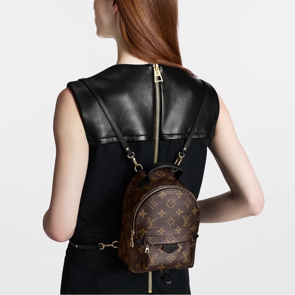 Authentic Louis Vuitton Palm Springs Mini with box, garment bag and certs! - Picture 2 of 5